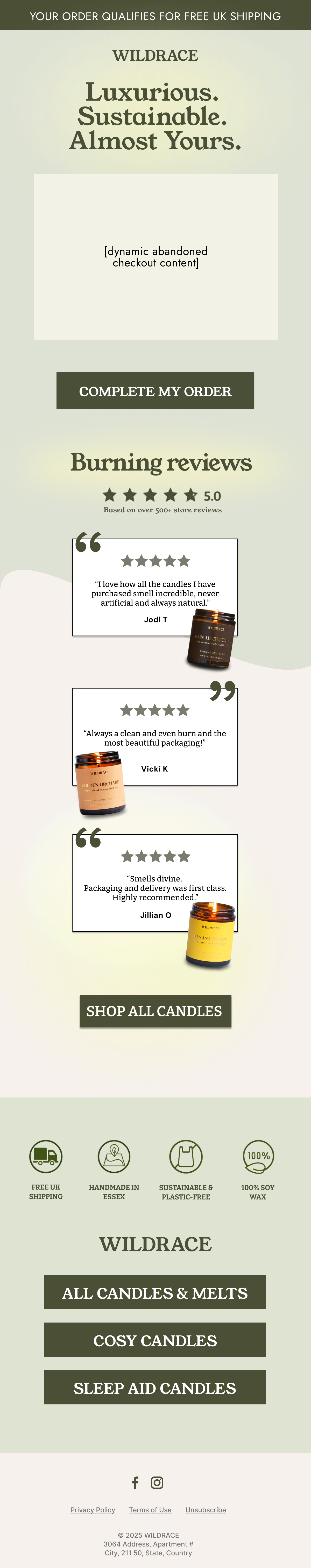 Abandoned Checkout flow