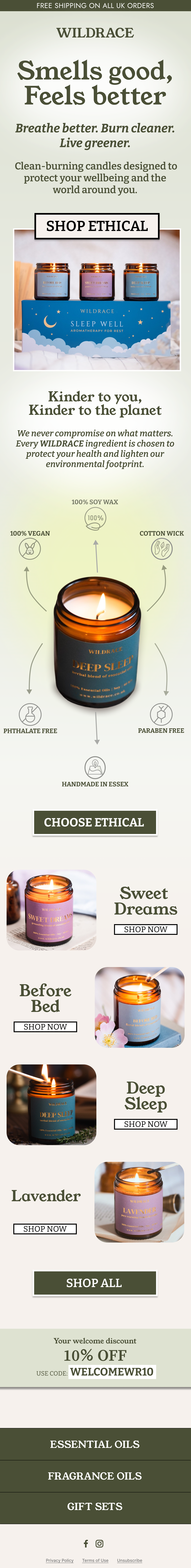 Beauty brand campaign email creative example